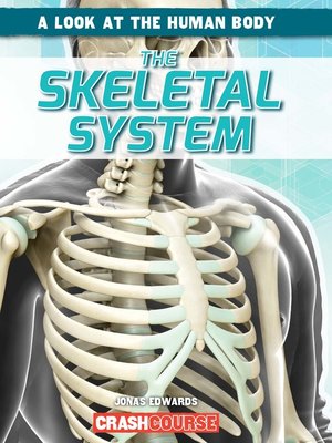 cover image of Skeletal System